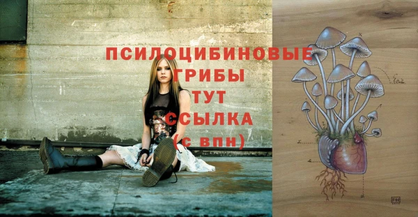 героин Абаза